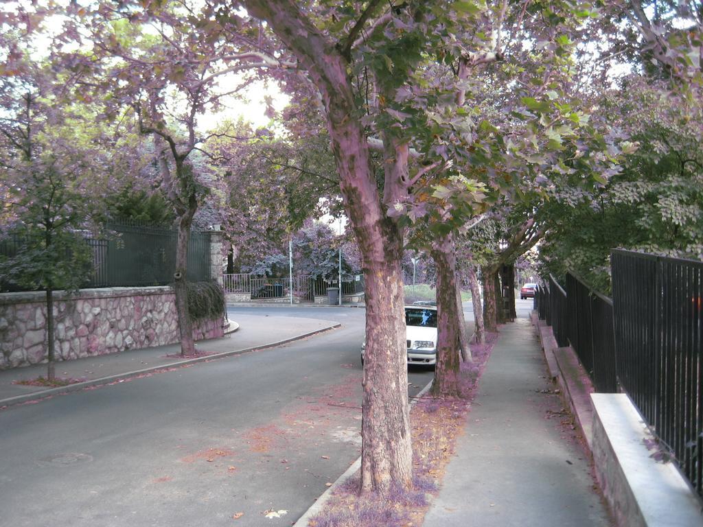 Platan Apartman Budapest Bilik gambar